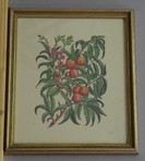 Prodotto 225